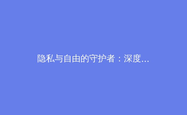 隐私与自由的守护者：深度解析VPN技术演进与全球资讯安全新态势 - 2