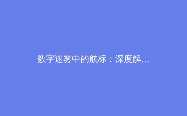 数字迷雾中的航标：深度解析VPN技术演进与全球网络安全新格局 - 4