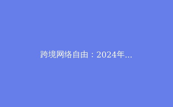 跨境网络自由：2024年全球VPN技术演进与政策格局深度解析 - 4