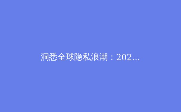 洞悉全球隐私浪潮：2024年VPN技术演进、法规动向与用户选择全指南 - 2