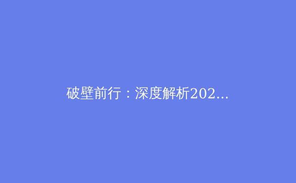 破壁前行：深度解析2024年全球VPN技术趋势与安全应用指南 - 2